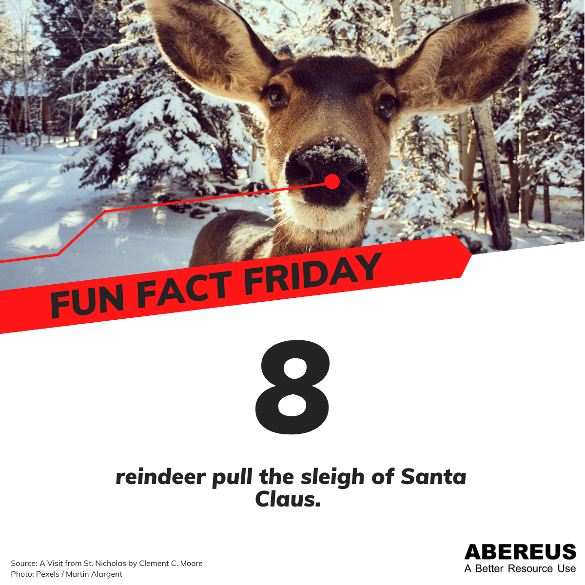 Auf dem Foto ist ein Rentier zu erkenne, dass direkt in die Kamera schaut. Im Hintergrund ist eine Schneelandschaft zu sehen.