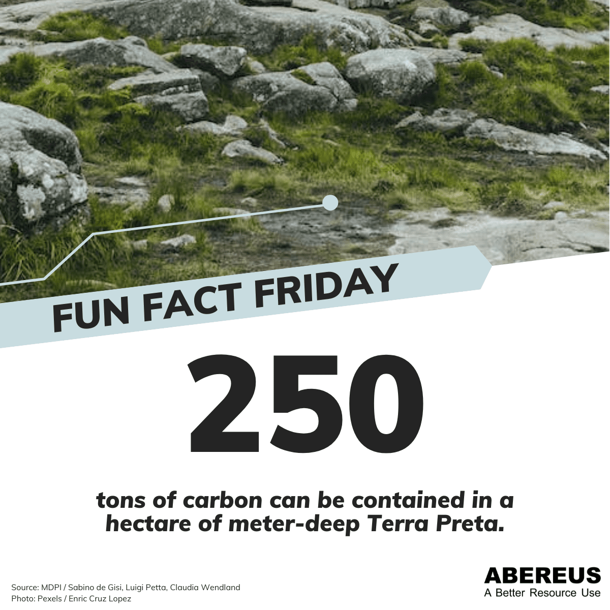 Auf dem Bild ist ein Boden zu erkennen. Darunter steht, dass 250 Tonnen Kohlenstoff in einem Hektar und einem Meter tiefen Terra Preta Boden steckt.