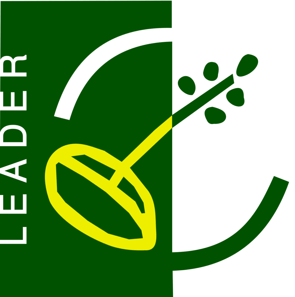Das Logo von LEADER zeigt einen Halbkreis mit einem Gegenstand in der Mitte. Das Logo ist vor allem weiß und grün.