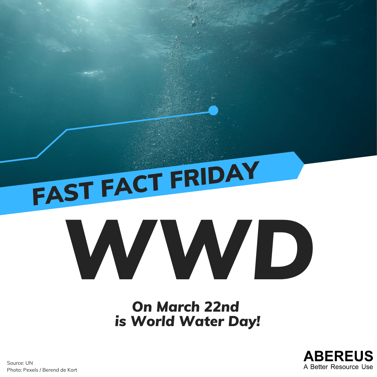 Luftblasen steigen im Wasser auf. Die Sonne scheint ins Wasser.