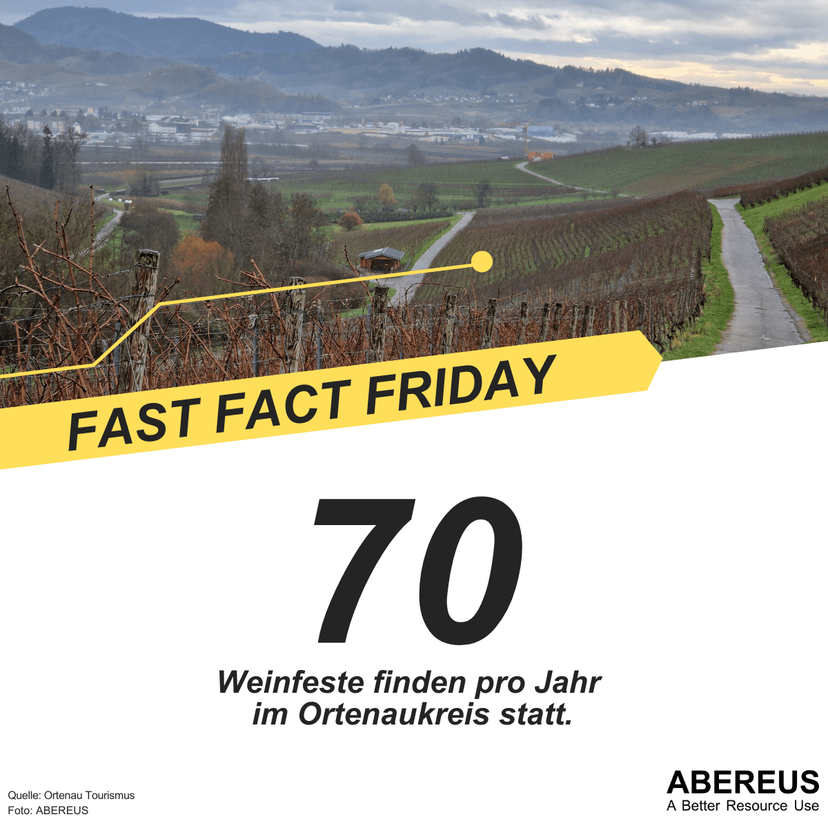 Im Foto im oberen Bereich ist die Region Ortenau mit einer Stadt im Hintergrund und Weinberge im Winter im Vordergrund. Darunter steht "70 Weinfeste finden pro Jahr im Ortenaukreis statt.".