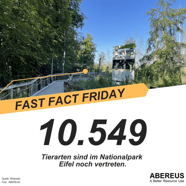 Auf dem Bild ist ein Foto von einem Holzweg / Brücke in einen Wald hinein. Man erkennt ein Schild auf dem steht "Hier baut die Natur". Unter dem Foto steht 10.549 Tierarten sind im Nationalpark Eifel noch vertreten.