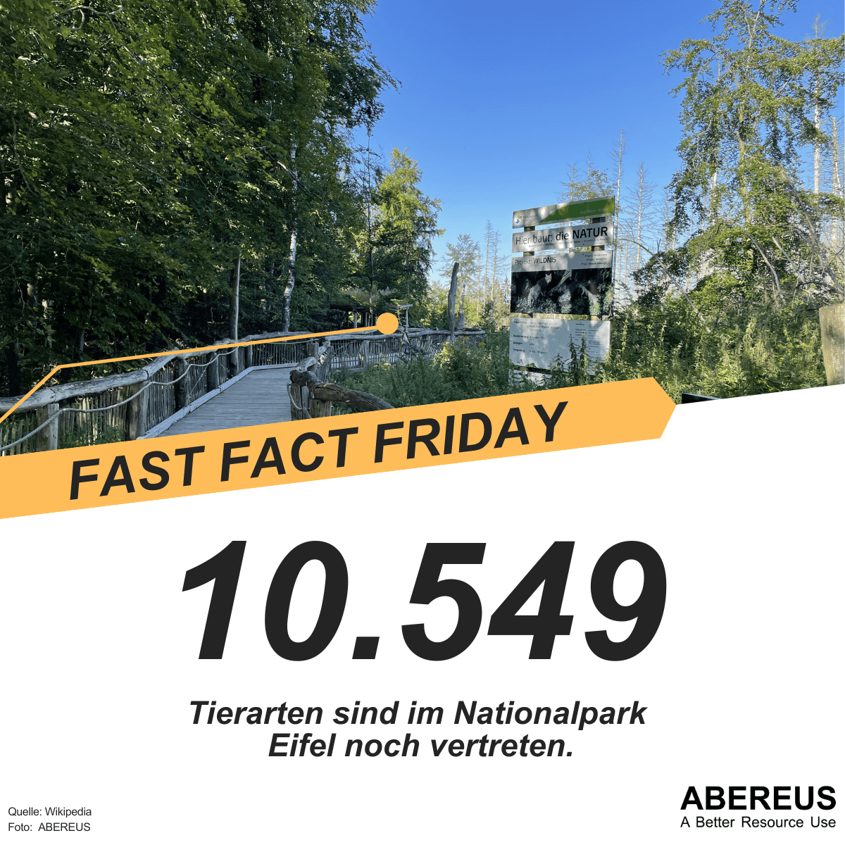 Auf dem Bild ist ein Foto von einem Holzweg / Brücke in einen Wald hinein. Man erkennt ein Schild auf dem steht "Hier baut die Natur". Unter dem Foto steht 10.549 Tierarten sind im Nationalpark Eifel noch vertreten.